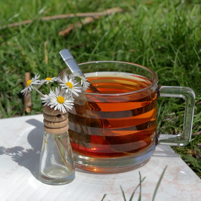 Gyógynövényes tea – Teavila